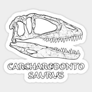 Carcharodontosaurus Fossil Skull Sticker